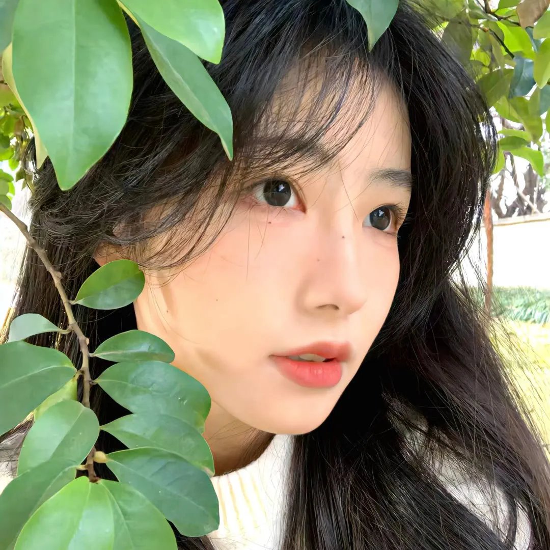 鹊刀门传奇